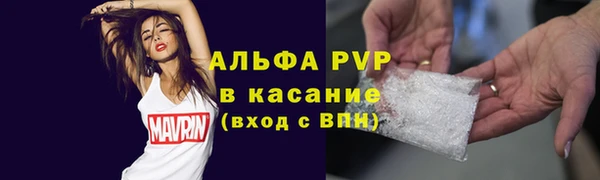 мяу мяу мука Пестово