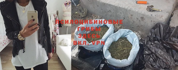 apvp Пересвет